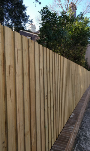 softwoods-063-timber-paling-fence-design