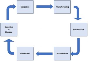 softwoods-timber-life-cycle-sustainability